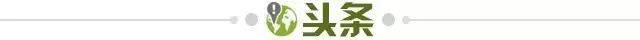 bifa必发注册入口-【早报】罗马四连败，穆鸟五连胜！
