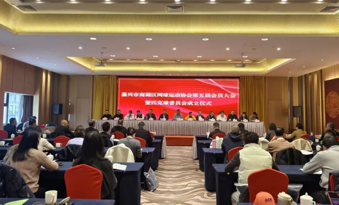 南湖区有匹克球委员会啦！|协会|网球|网球协会|赛事|羽毛球_新浪体育_新浪新闻